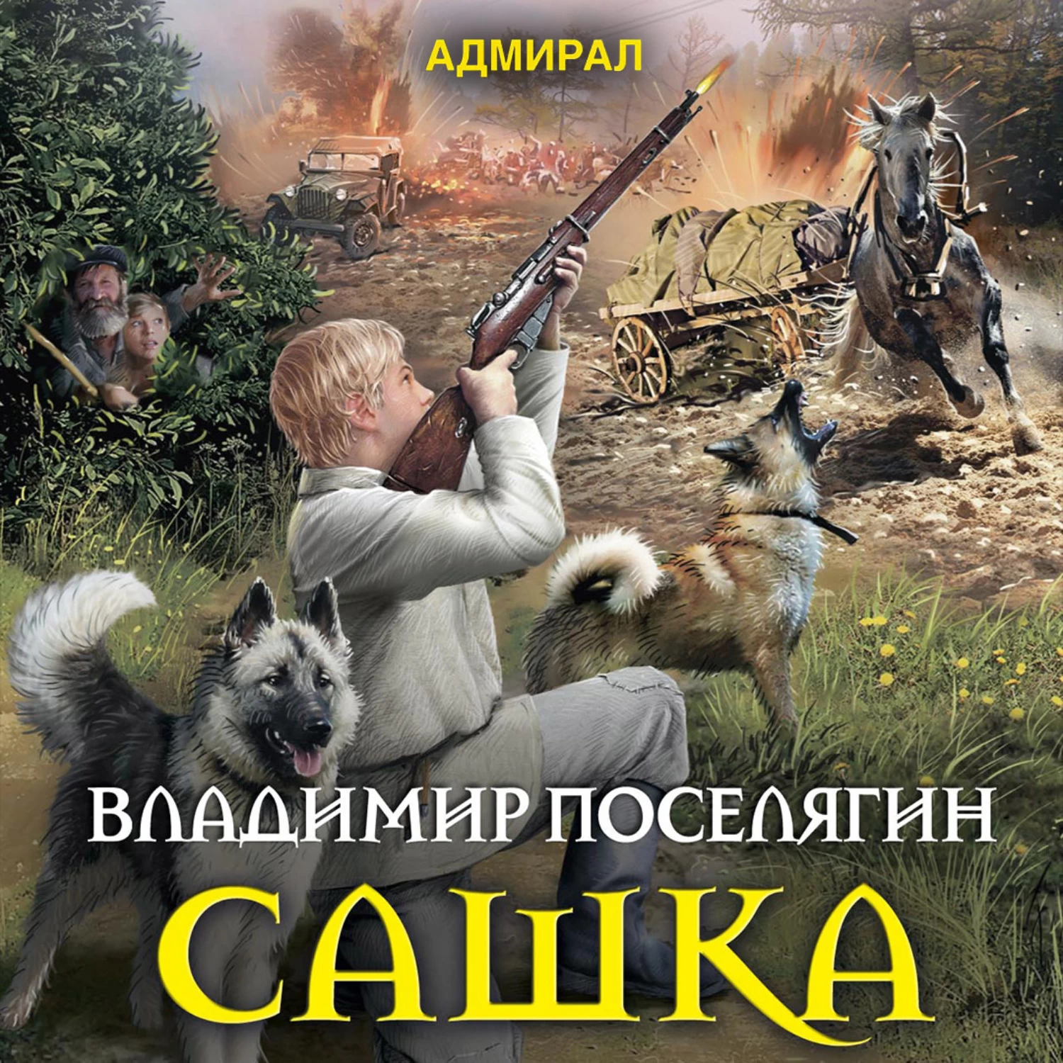 Адмирал книги слушать