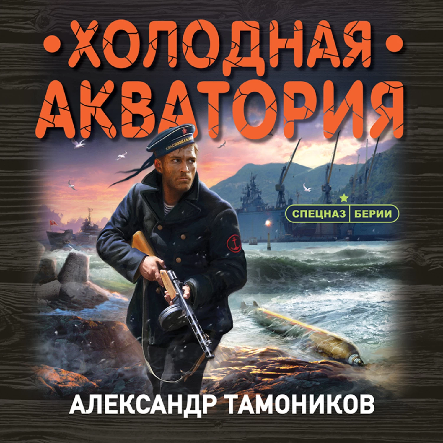 Холодно холодно аудиокнига. Тамоников холодная Акватория. Александр Тамоников писатель. Александр Тамоников цикл спецназ Берии. Тамоников 