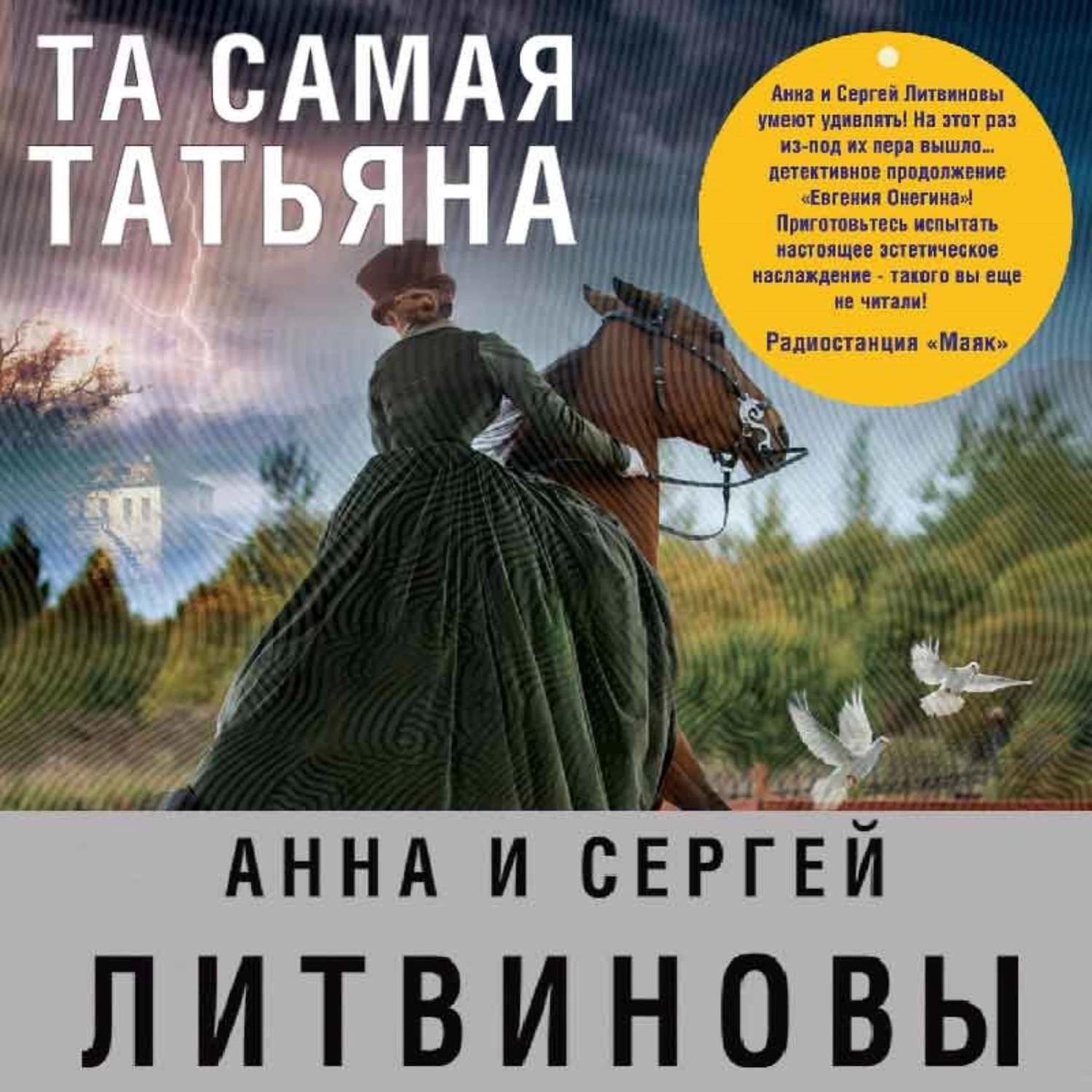 Слушать аудиокнигу анны. Анна детектив. Тот самый книга. Литвиновы Анна и Сергей тренинг. Анна и Сергей Литвиновы  продавец вечности.